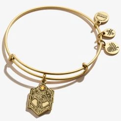 Tree Of Life Charm Bangle -Alex And Ani Bracelets Shop A17EBTOLRG FRONT