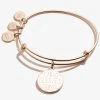 'Blessed' Charm Bangle -Alex And Ani Bracelets Shop A18WAP04SR FRONT
