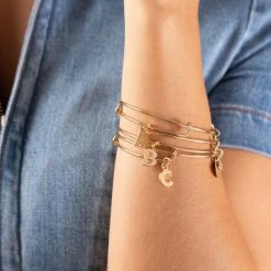 Initial W Charm Bangle -Alex And Ani Bracelets Shop A20EBINT01SG INITIAL BANGLE A B C SG 37c5149a d849 4c87 8170 dfe6e3260051