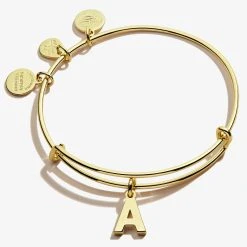 Initial A Charm Bangle -Alex And Ani Bracelets Shop A20EBINT01SG FRONT