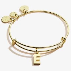 Initial E Charm Bangle 8 Initial E Charm Bangle -Alex And Ani Bracelets Shop A20EBINT05SG FRONT