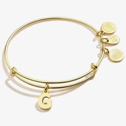 Initial G Charm Bangle -Alex And Ani Bracelets Shop A20EBINT07SG FRONT