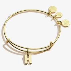 Initial H Charm Bangle 8 Initial H Charm Bangle -Alex And Ani Bracelets Shop A20EBINT08SG FRONT