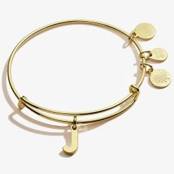 Initial J Charm Bangle -Alex And Ani Bracelets Shop A20EBINT10SG FRONT
