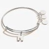 Initial N Charm Bangle -Alex And Ani Bracelets Shop A20EBINT14SS FRONT