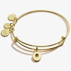 Initial O Charm Bangle -Alex And Ani Bracelets Shop A20EBINT15SG FRONT