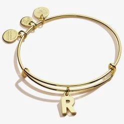 Initial R Charm Bangle -Alex And Ani Bracelets Shop A20EBINT18SG FRONT