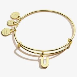 Initial U Charm Bangle 8 Initial U Charm Bangle -Alex And Ani Bracelets Shop A20EBINT21SG FRONT