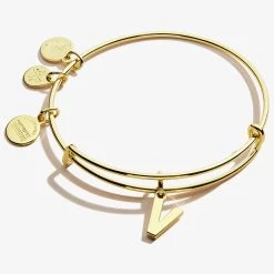 Initial V Charm Bangle -Alex And Ani Bracelets Shop A20EBINT22SG FRONT