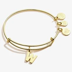 Initial W Charm Bangle -Alex And Ani Bracelets Shop A20EBINT23SG FRONT