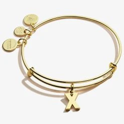 Initial X Charm Bangle -Alex And Ani Bracelets Shop A20EBINT24SG FRONT