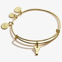 Initial Y Charm Bangle 8 Initial Y Charm Bangle -Alex And Ani Bracelets Shop A20EBINT25SG FRONT