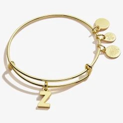 Initial Z Charm Bangle -Alex And Ani Bracelets Shop A20EBINT26SG FRONT