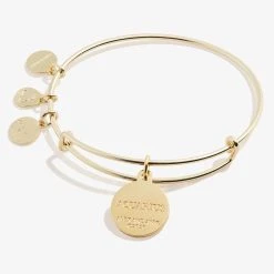 Aquarius Zodiac Charm Bangle, Color -Alex And Ani Bracelets Shop A20EBZOD02SG BACK