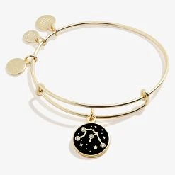 Aquarius Zodiac Charm Bangle, Color -Alex And Ani Bracelets Shop A20EBZOD02SG FRONT