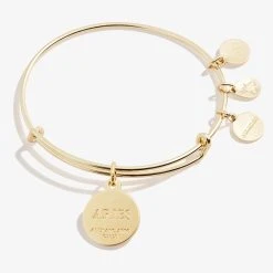 Aries Zodiac Charm Bangle, Color -Alex And Ani Bracelets Shop A20EBZOD04SG BACK