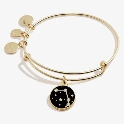 Aries Zodiac Charm Bangle, Color -Alex And Ani Bracelets Shop A20EBZOD04SG FRONT
