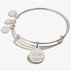 Aries Zodiac Charm Bangle, Color -Alex And Ani Bracelets Shop A20EBZOD04SS BACK