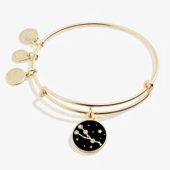 Taurus Zodiac Charm Bangle, Color -Alex And Ani Bracelets Shop A20EBZOD05SG FRONT