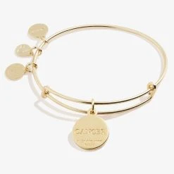 Cancer Zodiac Charm Bangle, Color -Alex And Ani Bracelets Shop A20EBZOD07SG BACK