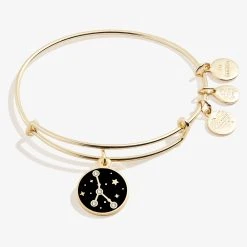 Cancer Zodiac Charm Bangle, Color -Alex And Ani Bracelets Shop A20EBZOD07SG FRONT