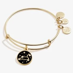 Leo Zodiac Charm Bangle, Color 14 Leo Zodiac Charm Bangle, Color -Alex And Ani Bracelets Shop A20EBZOD08SG FRONT