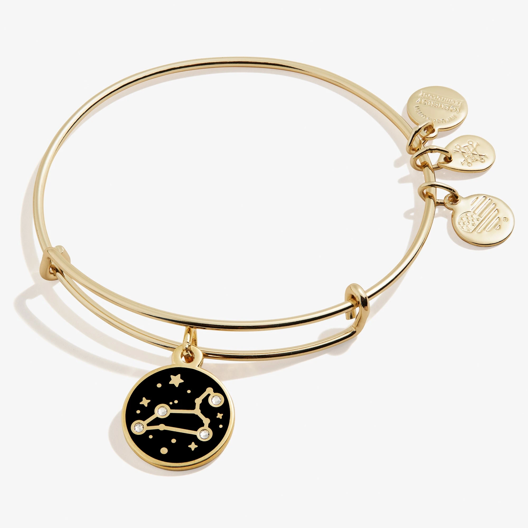 Leo Zodiac Charm Bangle, Color 7 Leo Zodiac Charm Bangle, Color - Image 5