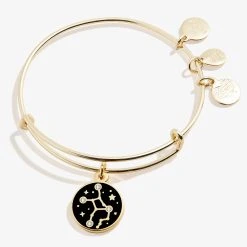 Virgo Zodiac Charm Bangle, Color 14 Virgo Zodiac Charm Bangle, Color -Alex And Ani Bracelets Shop A20EBZOD09SG FRONT