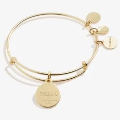 Scorpio Zodiac Charm Bangle, Color -Alex And Ani Bracelets Shop A20EBZOD11SG BACK