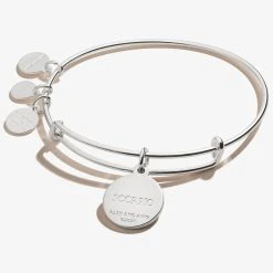 Scorpio Zodiac Charm Bangle, Color -Alex And Ani Bracelets Shop A20EBZOD11SS BACK