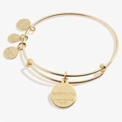 Sagittarius Zodiac Charm Bangle, Color -Alex And Ani Bracelets Shop A20EBZOD12SG BACK