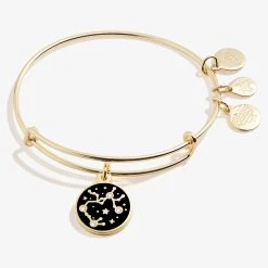 Sagittarius Zodiac Charm Bangle, Color -Alex And Ani Bracelets Shop A20EBZOD12SG FRONT