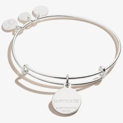Sagittarius Zodiac Charm Bangle, Color -Alex And Ani Bracelets Shop A20EBZOD12SS BACK