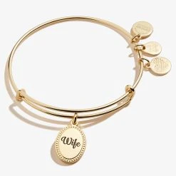 Wife, 'The One I Love Forever' Charm Bangle -Alex And Ani Bracelets Shop A21BILY12SAG FRONT