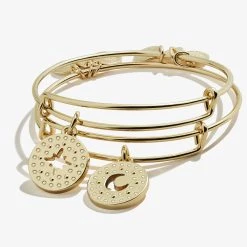 Best Friends Moon + Star Charm Bangle, Set Of 2 -Alex And Ani Bracelets Shop A21EBBFMSSG FRONT