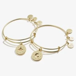 Best Friends Moon + Star Charm Bangle, Set Of 2 -Alex And Ani Bracelets Shop A21EBBFMSSG FRONT2