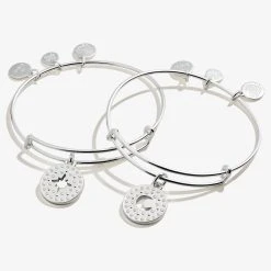 Best Friends Moon + Star Charm Bangle, Set Of 2 -Alex And Ani Bracelets Shop A21EBBFMSSS FRONT2