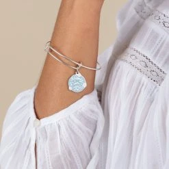 'Happily Ever After' Charm Bangle -Alex And Ani Bracelets Shop A21EBHEASS