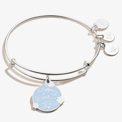 'Happily Ever After' Charm Bangle -Alex And Ani Bracelets Shop A21EBHEASS FRONT V2