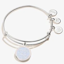 'Sending Hugs Just Because' Charm Bangle 10 'Sending Hugs Just Because' Charm Bangle -Alex And Ani Bracelets Shop A21EBJBSS FRONT