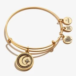 Crescent Moon Charm Bangle -Alex And Ani Bracelets Shop A21EBMOONRG FRONT