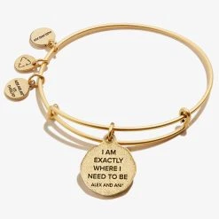 Path Of Life® Embossed Charm Bangle -Alex And Ani Bracelets Shop A21EBPOLRG BACK
