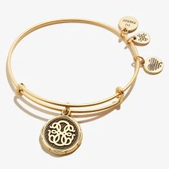 Path Of Life® Embossed Charm Bangle -Alex And Ani Bracelets Shop A21EBPOLRG FRONT V2
