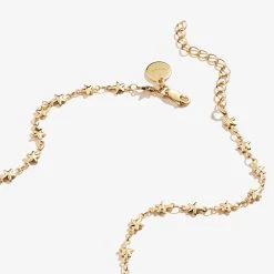 Delicate Star Motif Necklace -Alex And Ani Bracelets Shop A21ENSTR20SG BACK