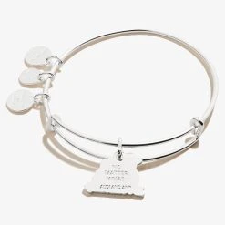 'Best Friends Forever' Charm Bangle -Alex And Ani Bracelets Shop Best Friends Forever Charm Bangle Silver Back A21EBBFFSS