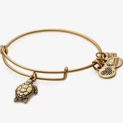 Sea Turtle Textured Charm Bangle -Alex And Ani Bracelets Shop CBD16STRG ANGLE 1