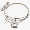 Crystal Paw Prints Of Love Charm Bangle -Alex And Ani Bracelets Shop CBD17POLRS FRONT