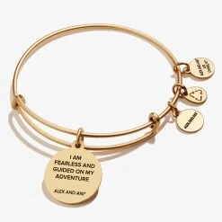 Compass Charm Bangle -Alex And Ani Bracelets Shop Compass Charm Bangle IV Gold Back A21EBCMPSRG