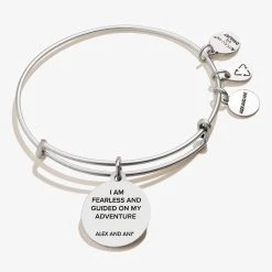 Compass Charm Bangle -Alex And Ani Bracelets Shop Compass Charm Bangle IV Silver Back A21EBCMPSRS
