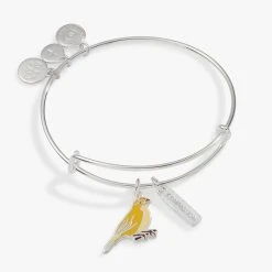 Compassion Yellow Canary Duo Charm Bangle